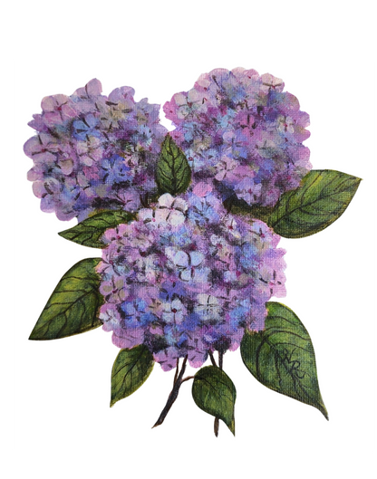 Hydrangea Bloom - Print
