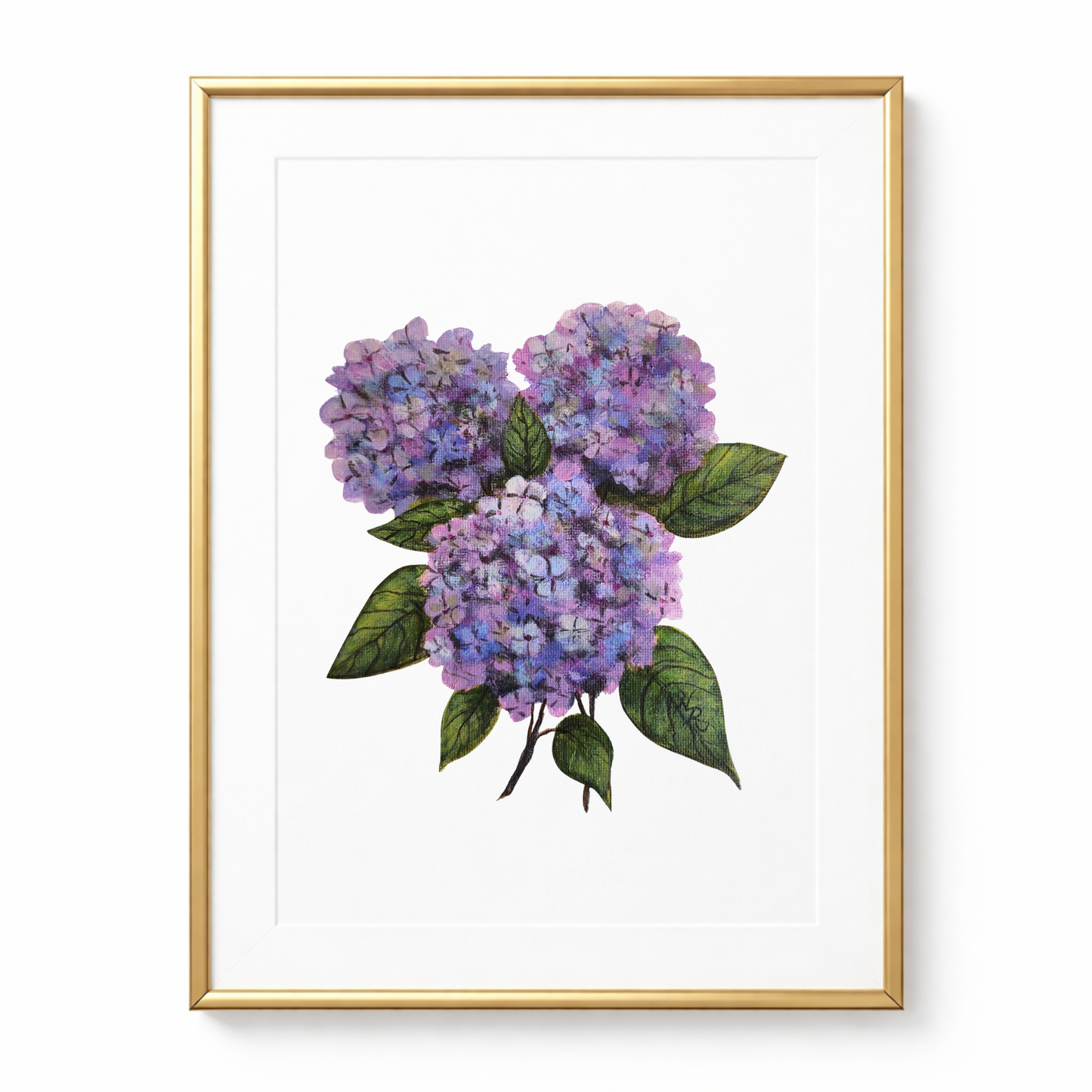 Hydrangea Bloom - Print