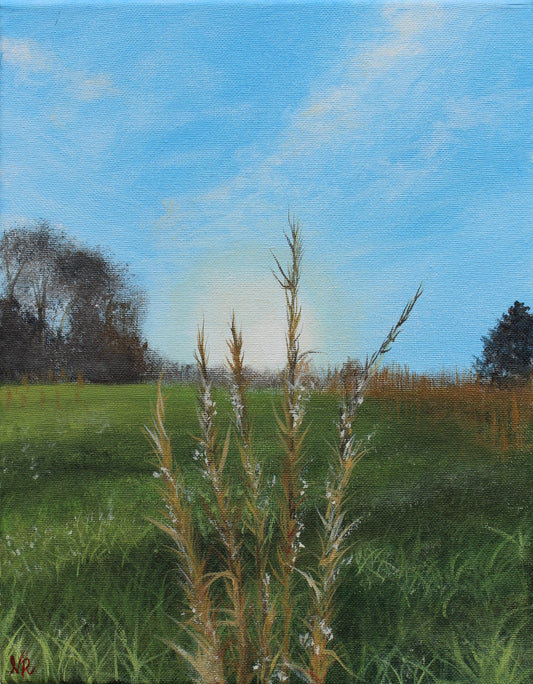 Whiskey Grass Field - Original Painting